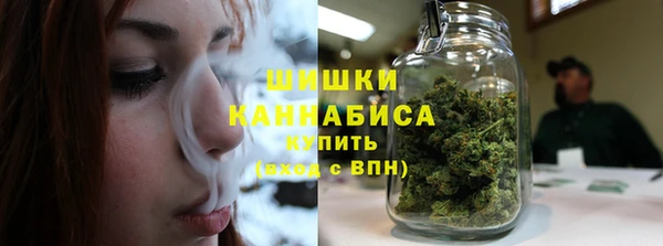 ПСИЛОЦИБИНОВЫЕ ГРИБЫ Алексеевка