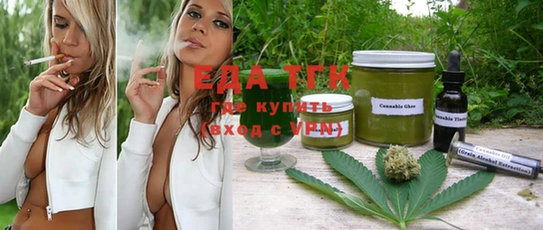 тгк Новодвинск